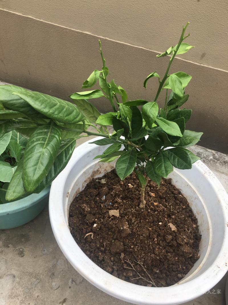 开云-的简单介绍-开云